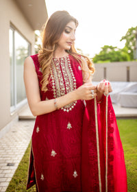 Scarlet - Client Diaries - Kanwal Malik